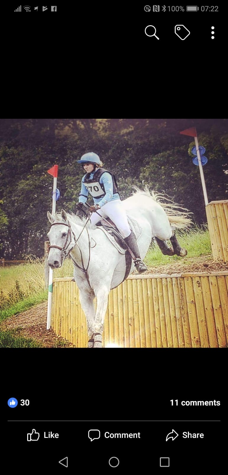 Horses for sale, ponies for sale, showjumpers for sale, dressage horses